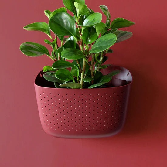 Frangivento in alluminio verniciato Wally pots