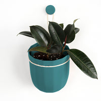 Loop Teal Hanging Planter