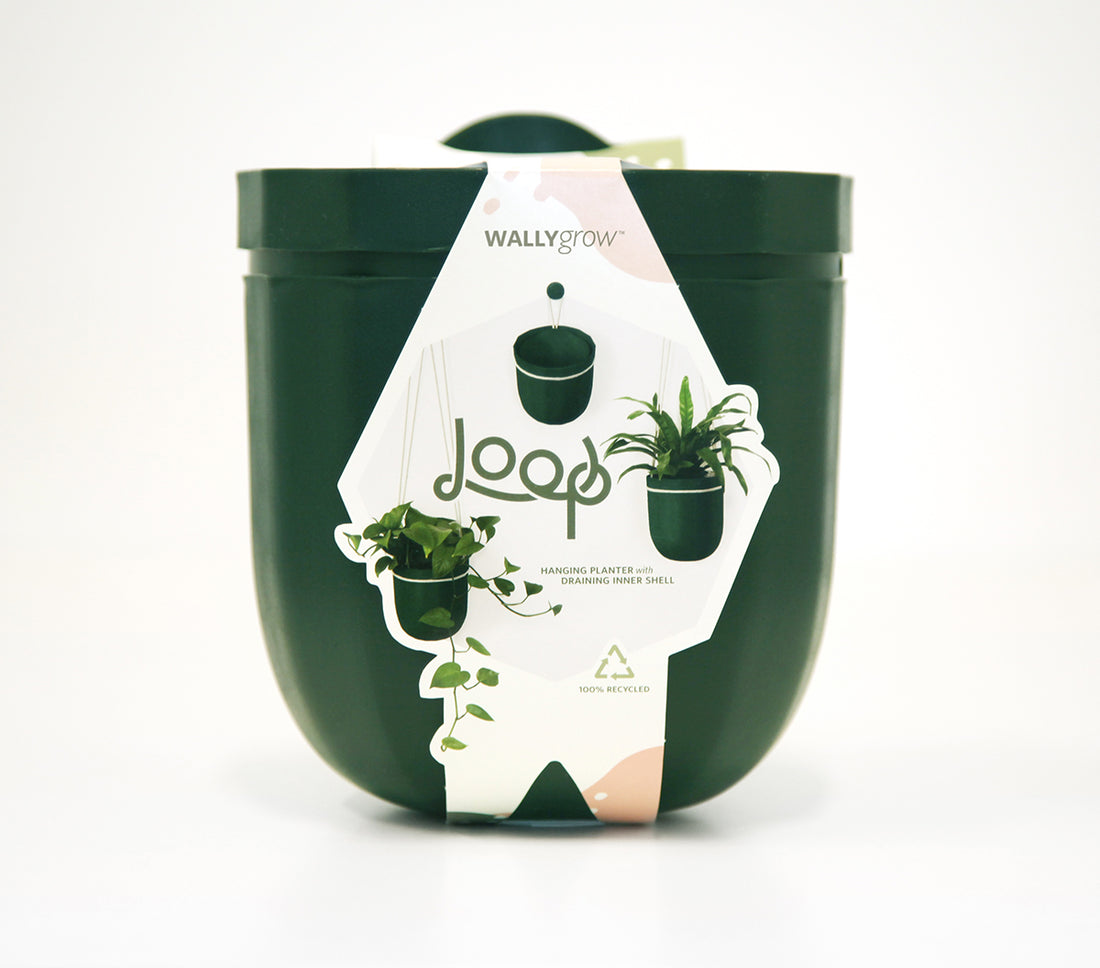 Loop Forest Hanging Planter