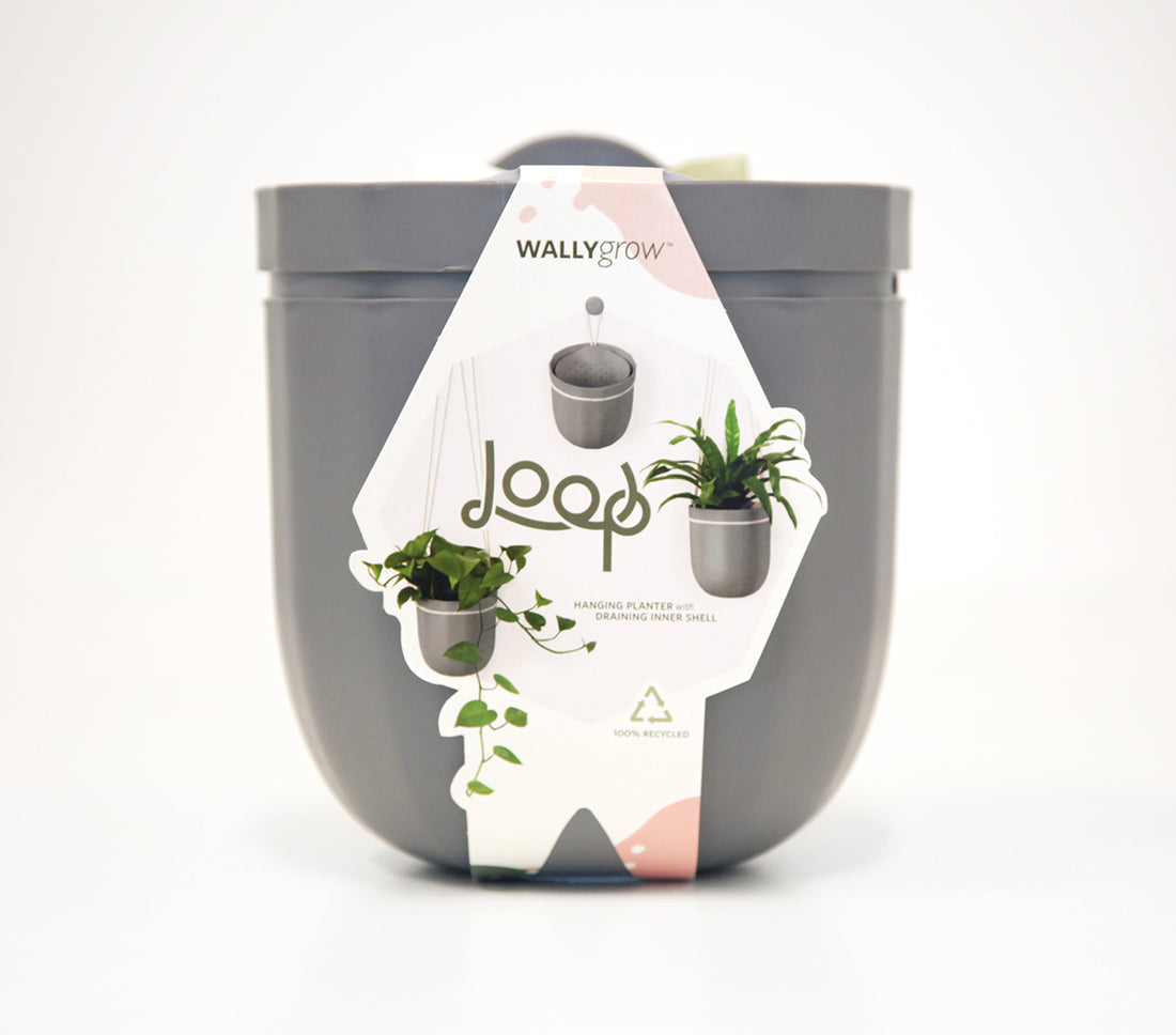 Loop Gravel Hanging Planter