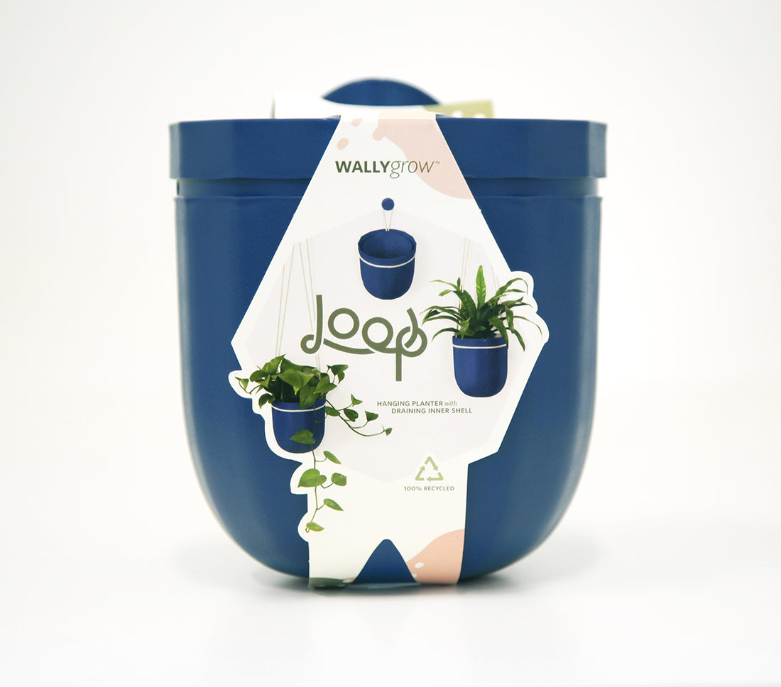 Loop Indigo Hanging Planter