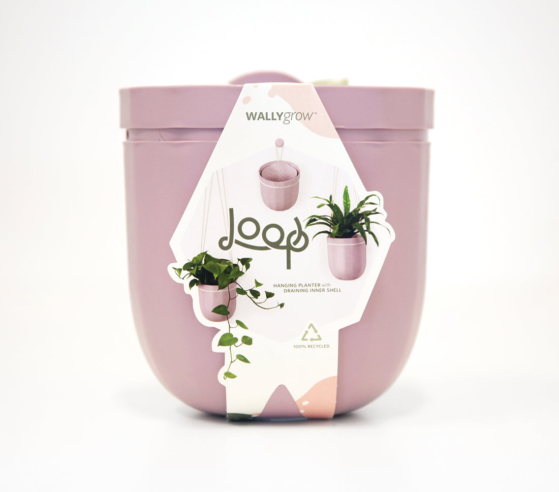 Loop Lavender Hanging Planter