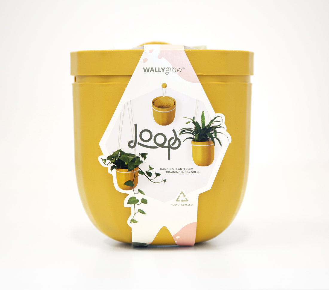 Loop Yellow Hanging Planter