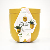 Loop Yellow Hanging Planter