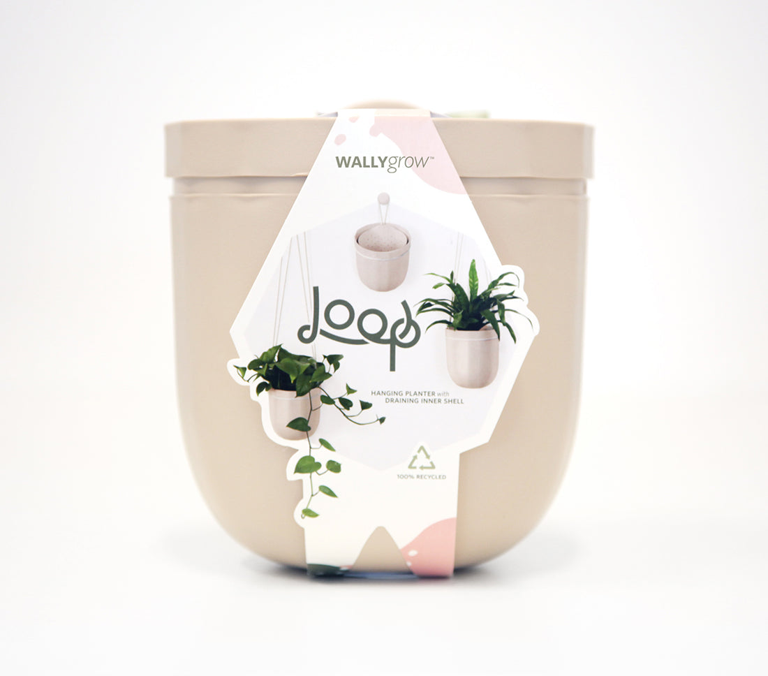 Loop Oat Hanging Planter