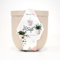 Loop Oat Hanging Planter