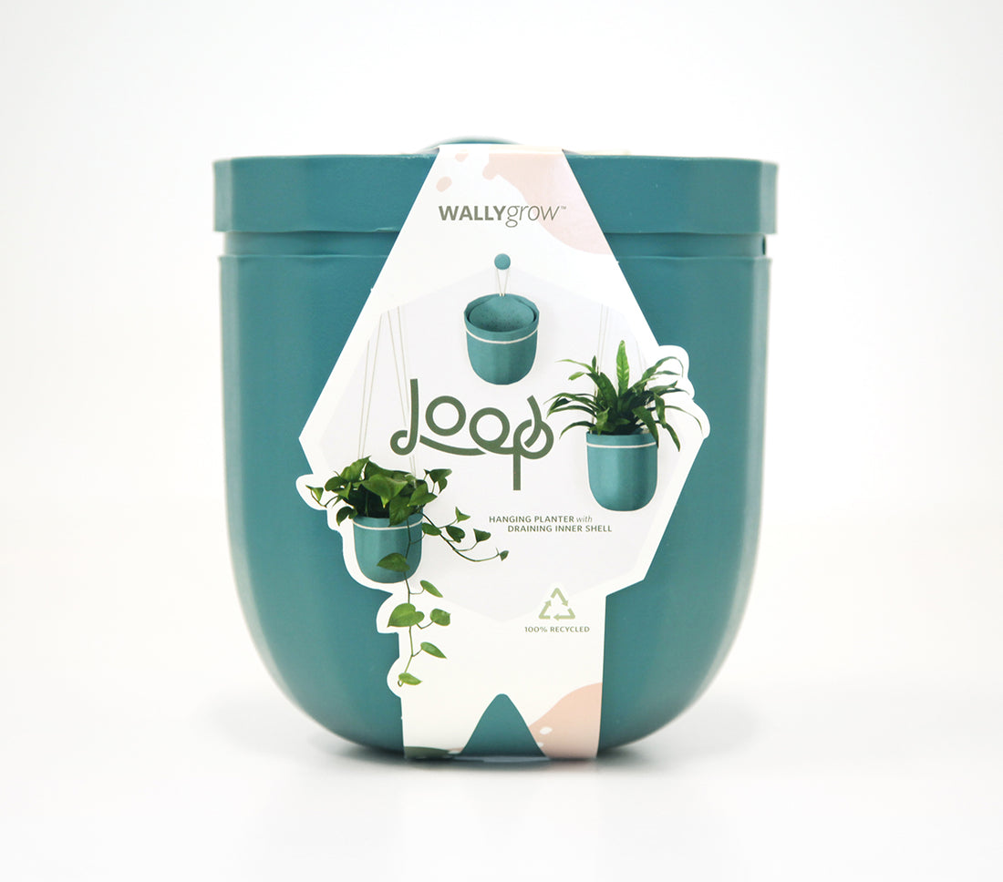 Loop Teal Hanging Planter