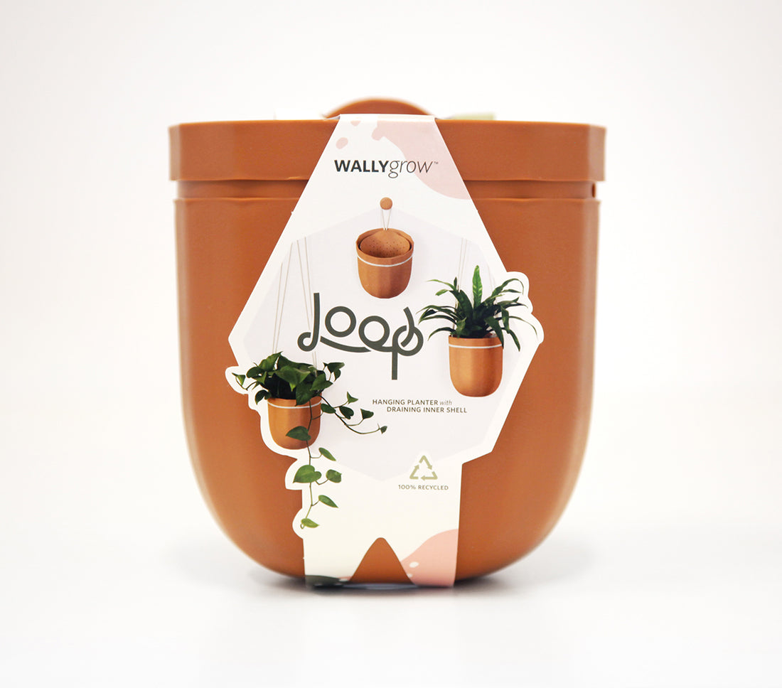 Loop Terracotta Hanging Planter