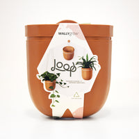 Loop Terracotta Hanging Planter