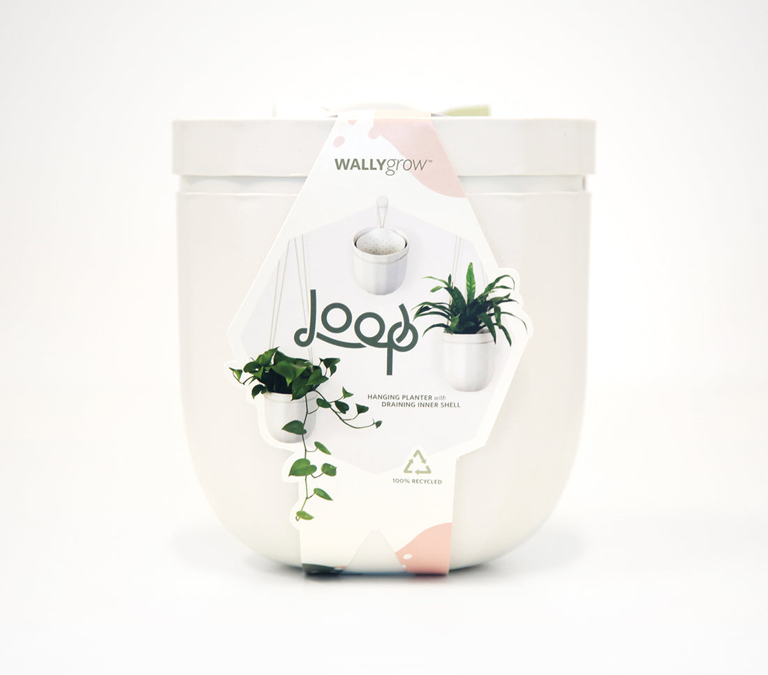 Loop White Hanging Planter