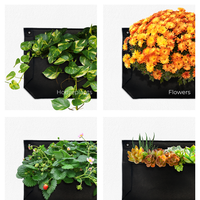 Pocket 3 Chocolate Wall Planter