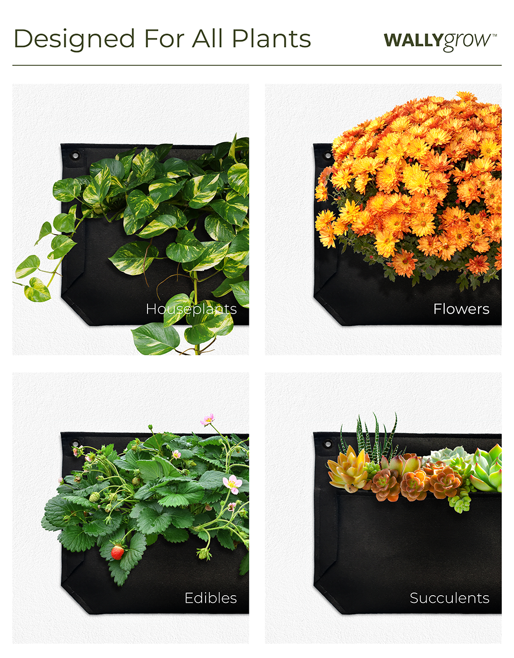 Pocket 3 Black Wall Planter