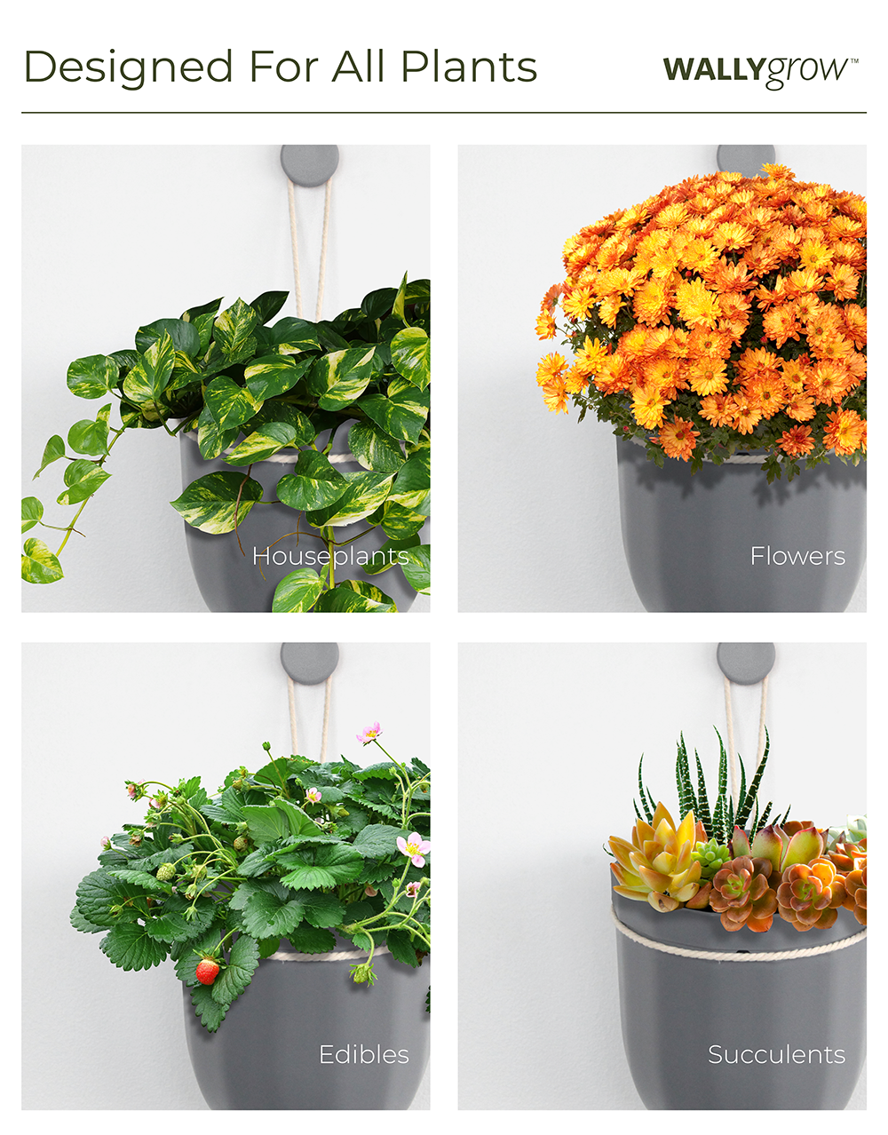 Loop Gravel Hanging Planter