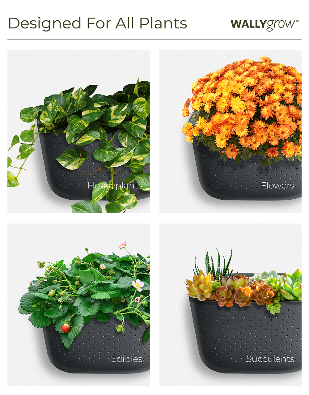 Eco Mustard Wall Planter