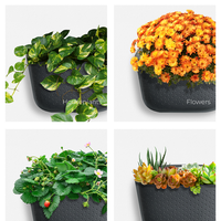 Eco Charcoal Wall Planter