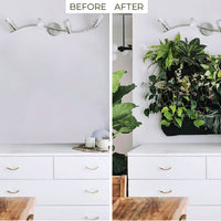 Pocket 3 Chocolate Wall Planter