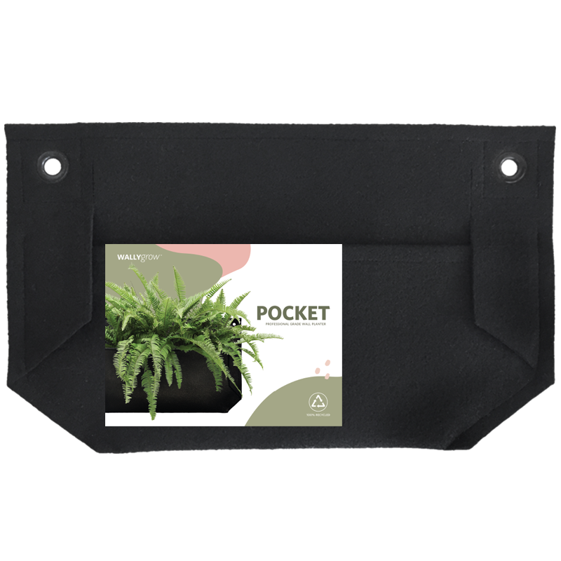 black hanging planter box Pocket Mini Black Wall Planter
