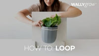 Loop Yellow Hanging Planter