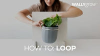 Loop Gravel Hanging Planter