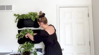 Pocket Mini Black Wall Planter