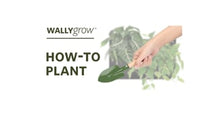 Pocket 3 Chocolate Wall Planter