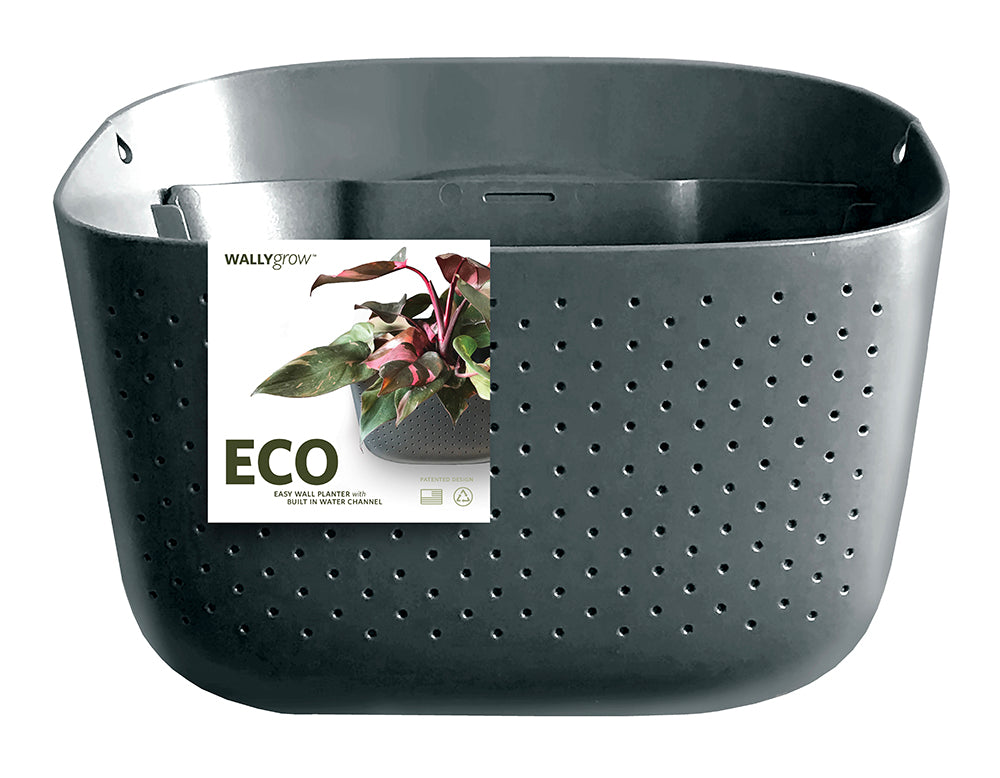 Eco Charcoal Wall Planter