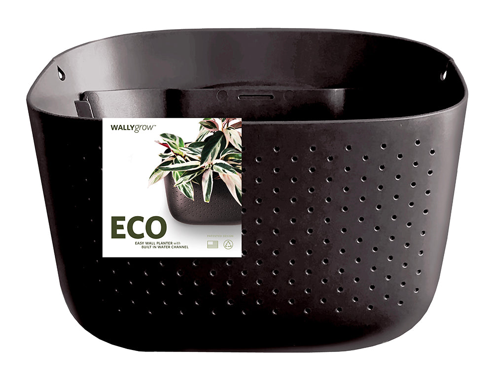 Eco Espresso Wall Planter