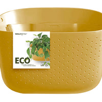 Eco Mustard Wall Planter