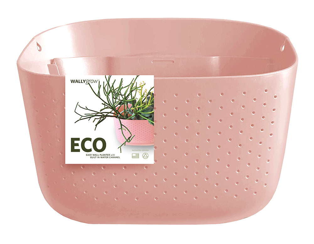 Eco Rose Wall Planter