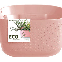 Eco Rose Wall Planter