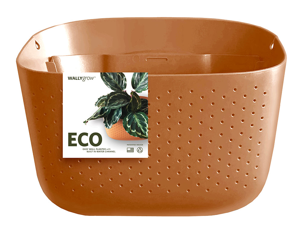 Eco Terracotta Wall Planter