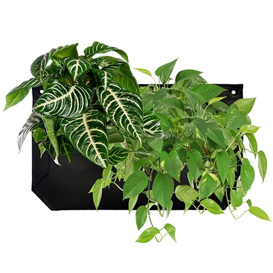 hanging pockets for plants Pocket 1 Black Wall Planter