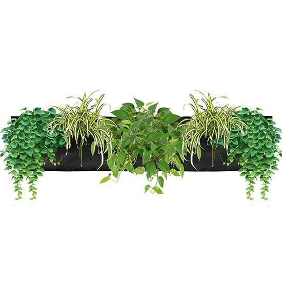 hanging plant pockets Pocket 3 Black Wall Planter