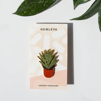 Calathea Rattlesnake Pin