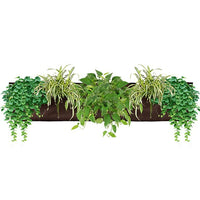 Pocket 3 Chocolate Wall Planter