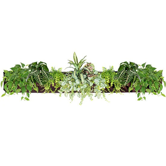 horizontal hanging planter Woolly Pocket Living Wall Planter Indoor/outdoor USE w/Reservoir (Color: Chocolate) Vertical Garden (Modular, Sustainable, Eco, Green) Hanging