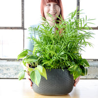 Eco Charcoal Wall Planter