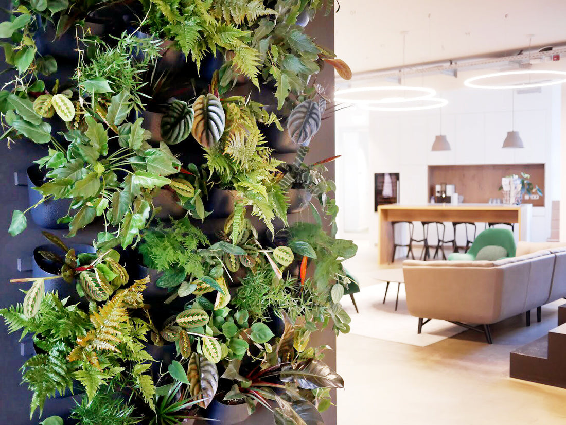 Eco Charcoal Wall Planter