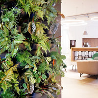 Eco Charcoal Wall Planter