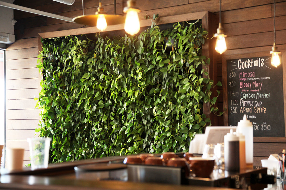 Eco Espresso Wall Planter