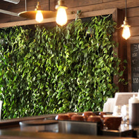 Eco Espresso Wall Planter