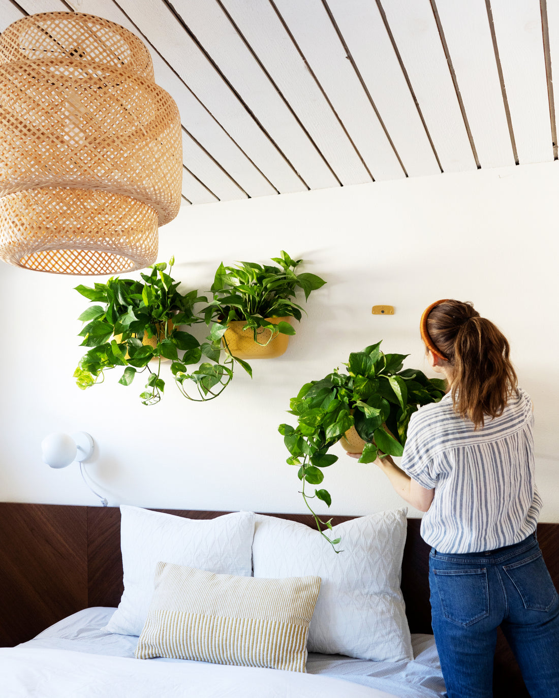 Eco Mustard Wall Planter