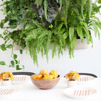 Eco Oat Wall Planter