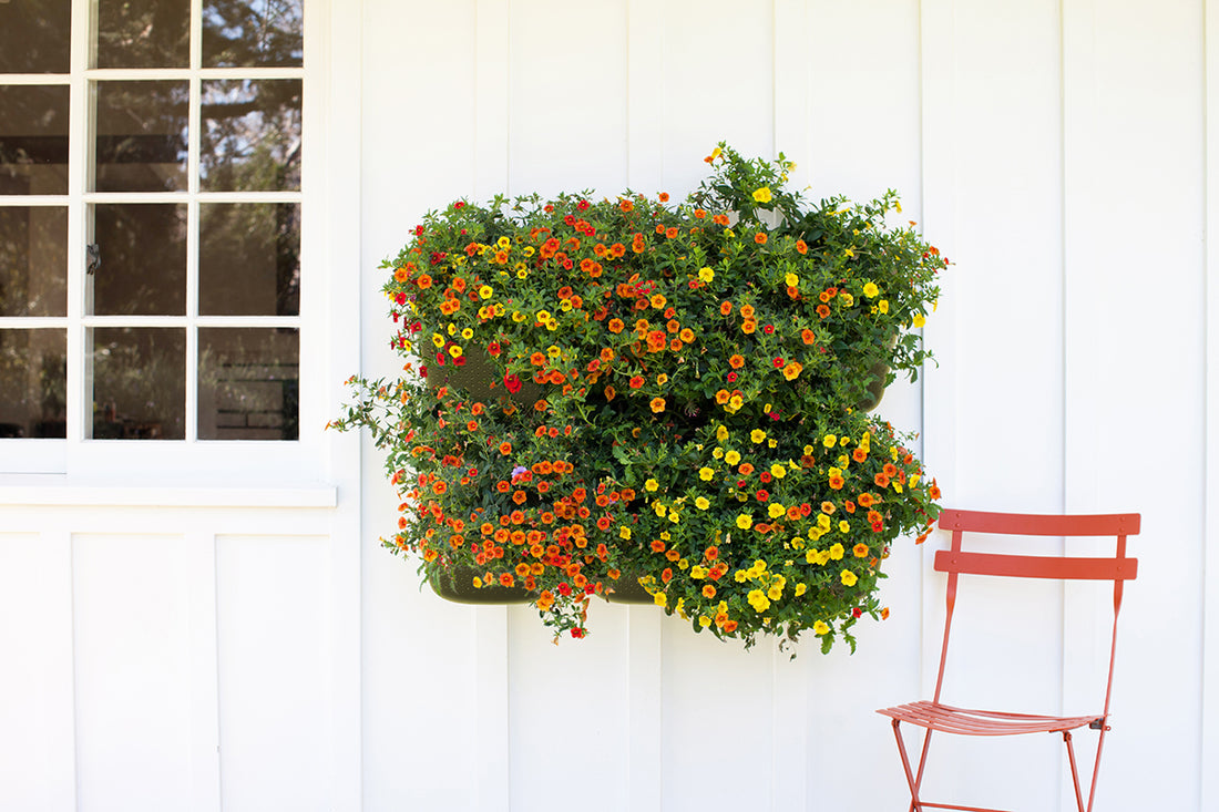 Eco Olive Wall Planter