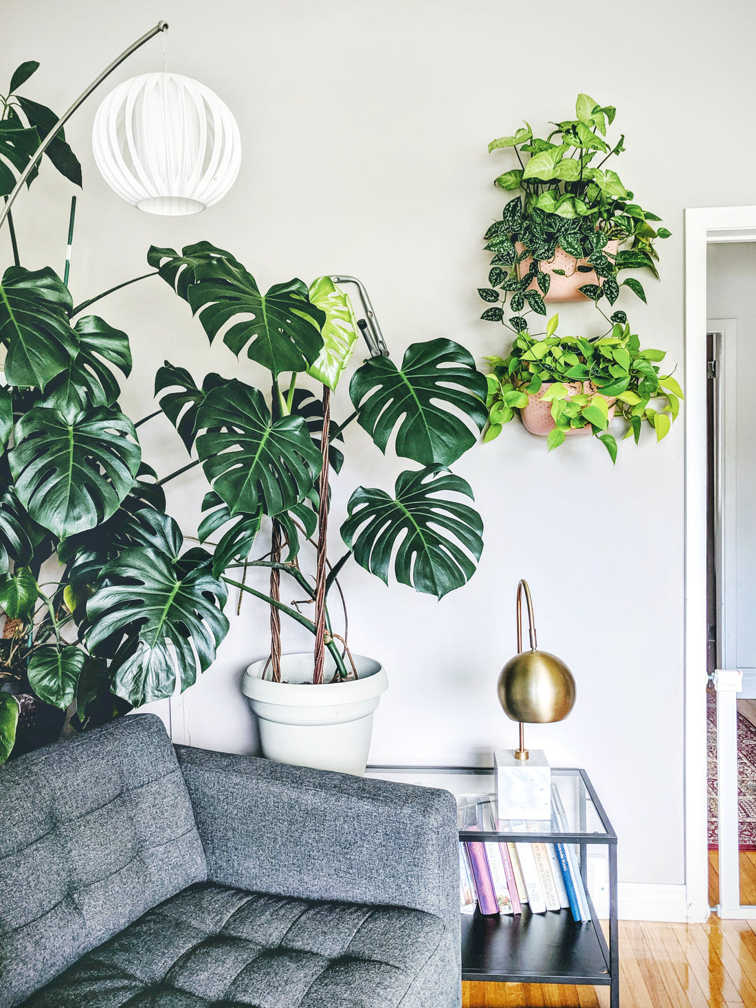 Eco Rose Wall Planter