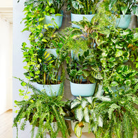 Eco Spa Wall Planter