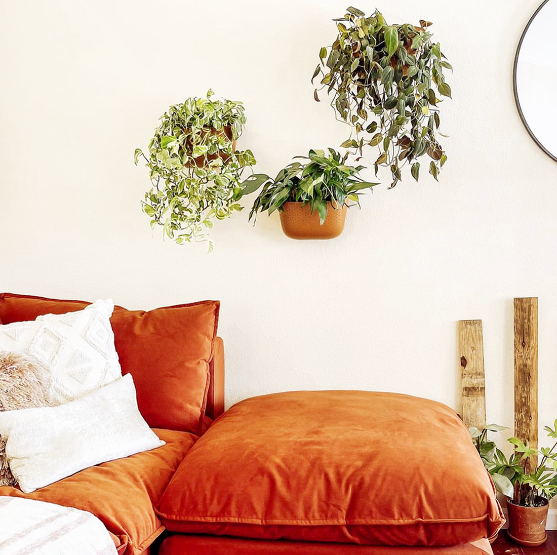 Eco Terracotta Wall Planter
