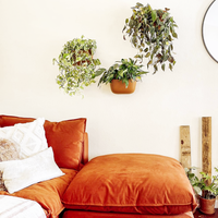 Eco Terracotta Wall Planter