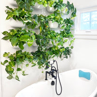 Eco White Wall Planter