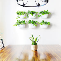 Eco White Wall Planter